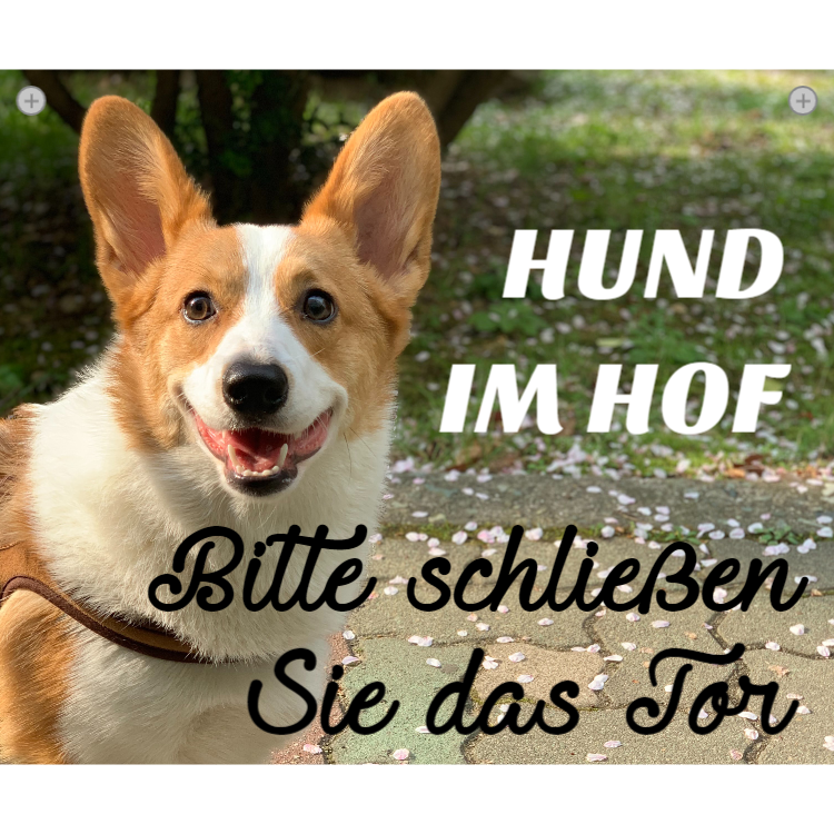 Hund im Hof - Aluminiumverbundschilder