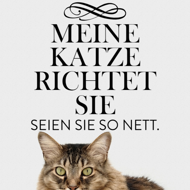 Meine Katze richtet Sie - Aluminiumverbundschilder
