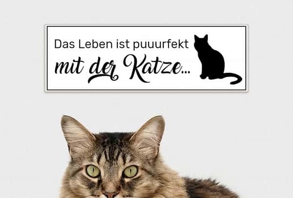 Katzenschilder