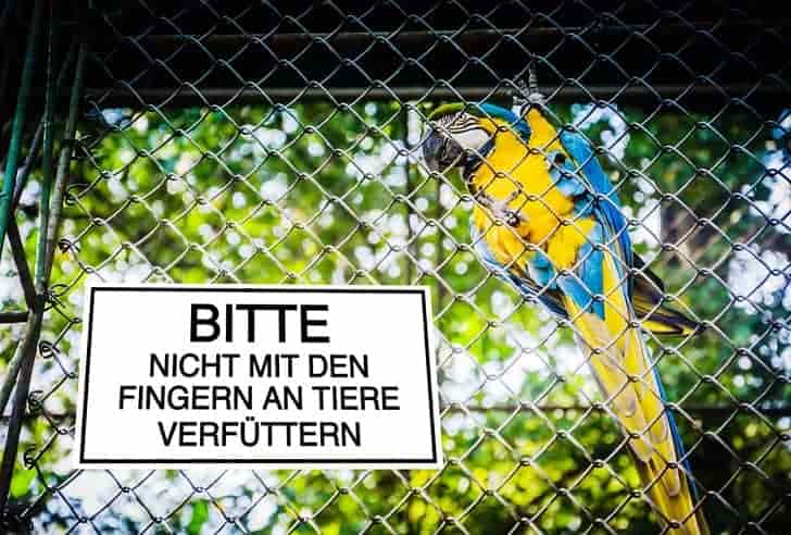 Zoo Zeichen