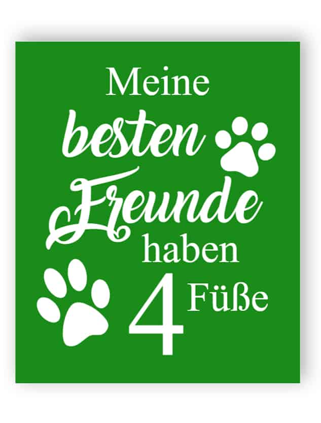 Meine besten Freunde haben 4 Füße Schild