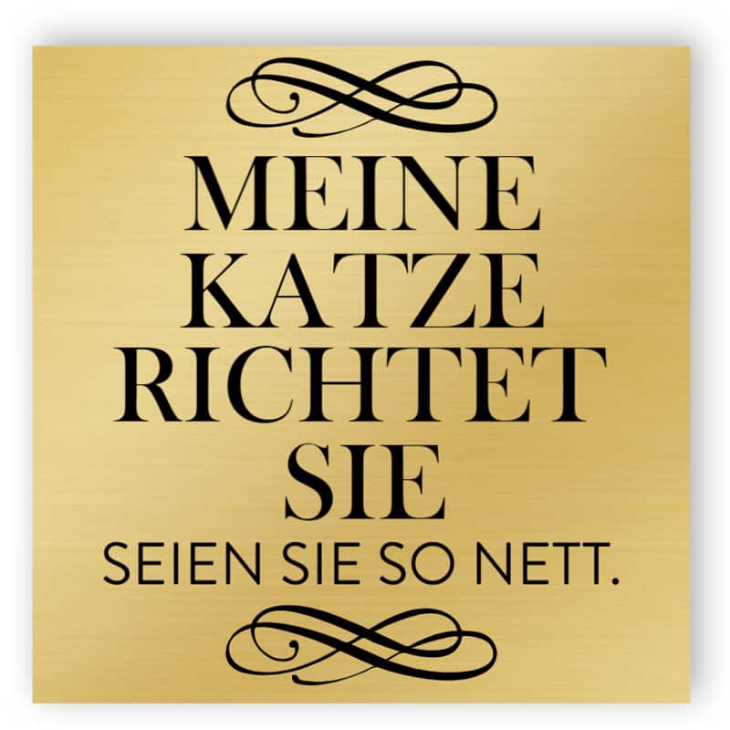 Meine Katze richtet Sie. Also sei nett Schild