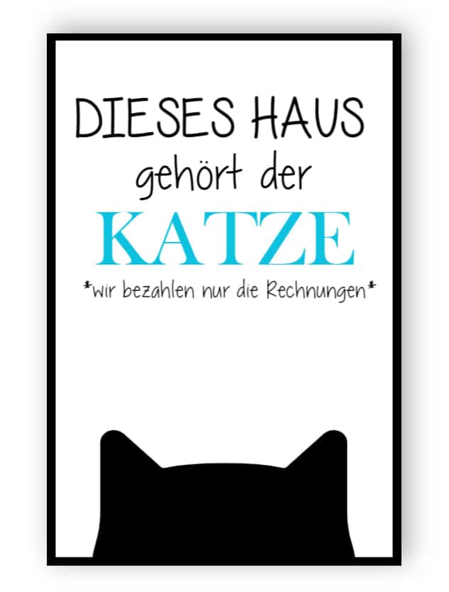 Dieses Haus gehört zur Katze Schild