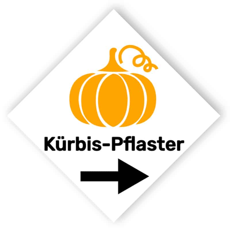 Kürbis-Pflaster Zeicher