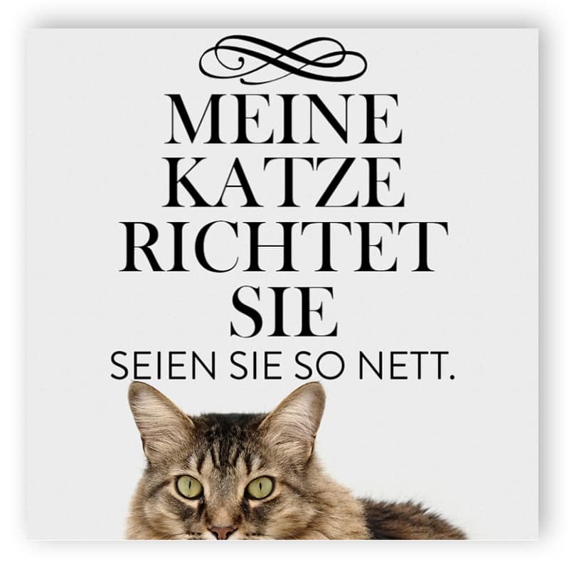 Meine Katze richtet Sie ​- Aluminiumverbundschilder