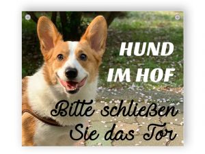 Hund im Hof ​- Aluminiumverbundschilder